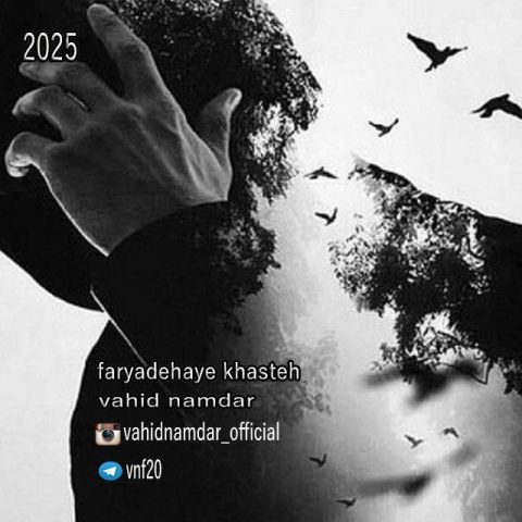 دانلود آهنگ وحید نامدار فریادهای خسته